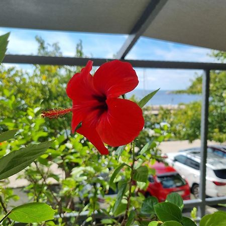 Apartman Ruza Podgora Esterno foto