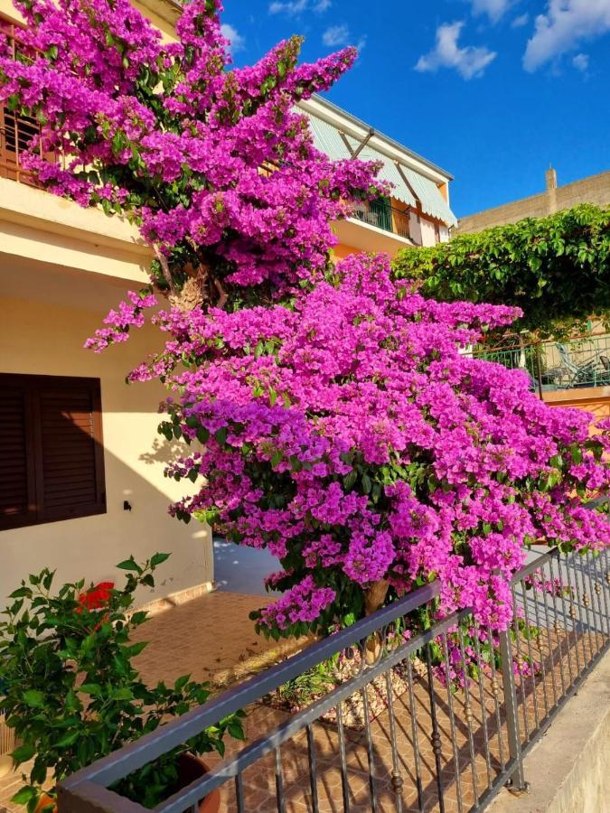 Apartman Ruza Podgora Esterno foto